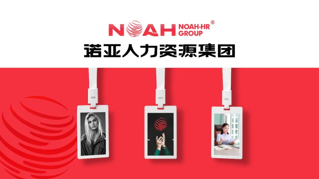 經營產值56.58億，利稅總額1.6億 | 諾亞集團2024年企業(yè)發(fā)展年報新鮮出爐